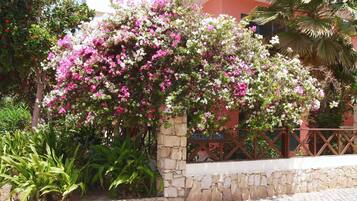 Uitzicht vanuit accommodatie