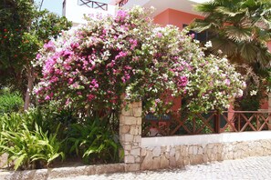 الإطلالة من المنشأة