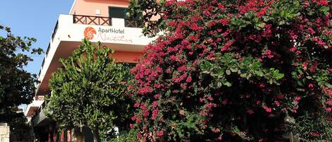 Vista desde la propiedad