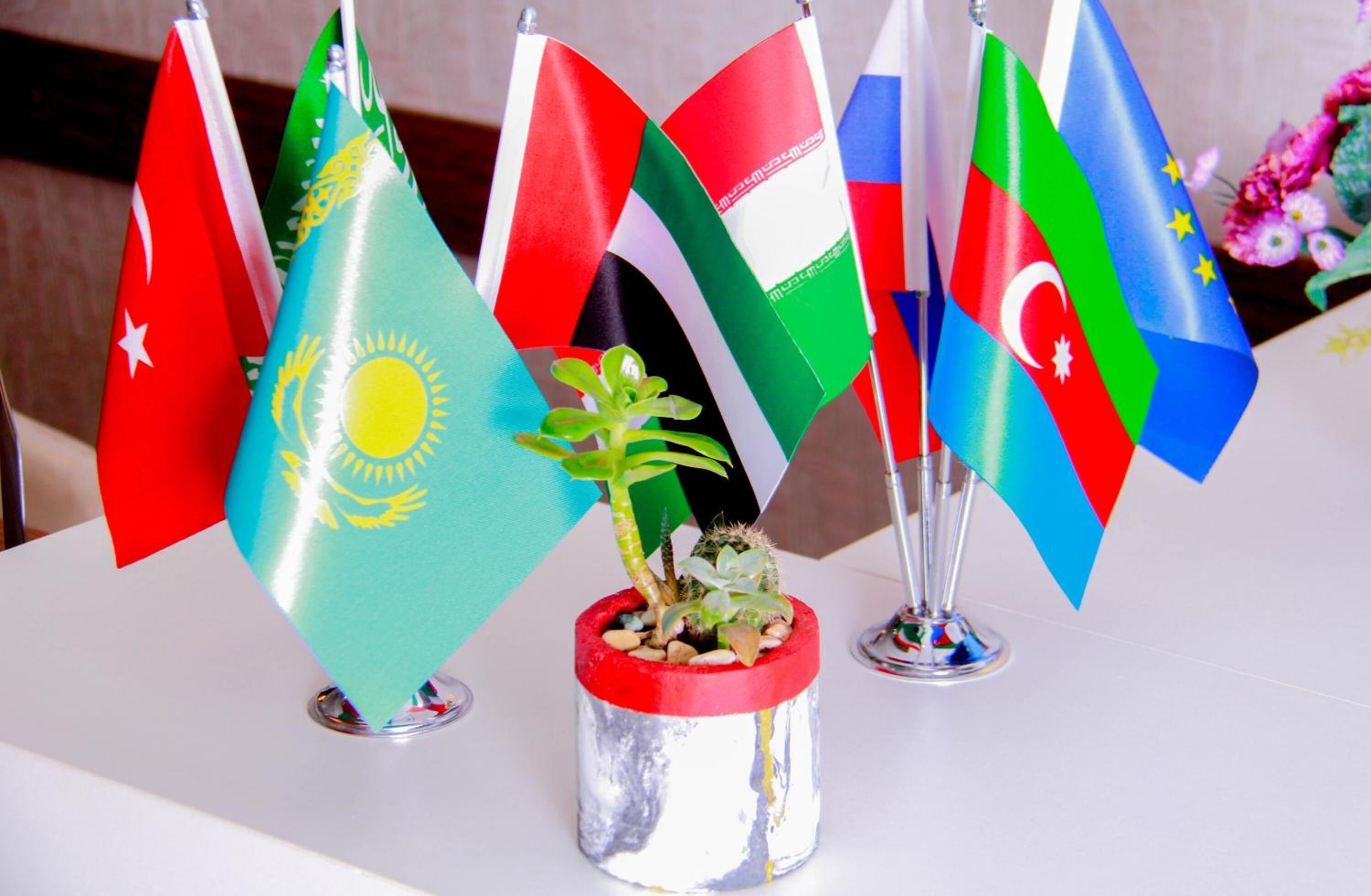 Foto - Mildom Hotel Baku