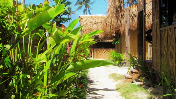A tropical garden path leading to a thatched-roof building with a wooden exterior. - Siargao Tropic Hostel (General Luna)