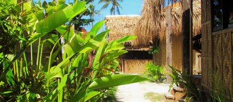 Siargao Tropic Hostel