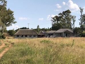 A rural setting with a dirt path leading to a row of houses with thatched roofs.