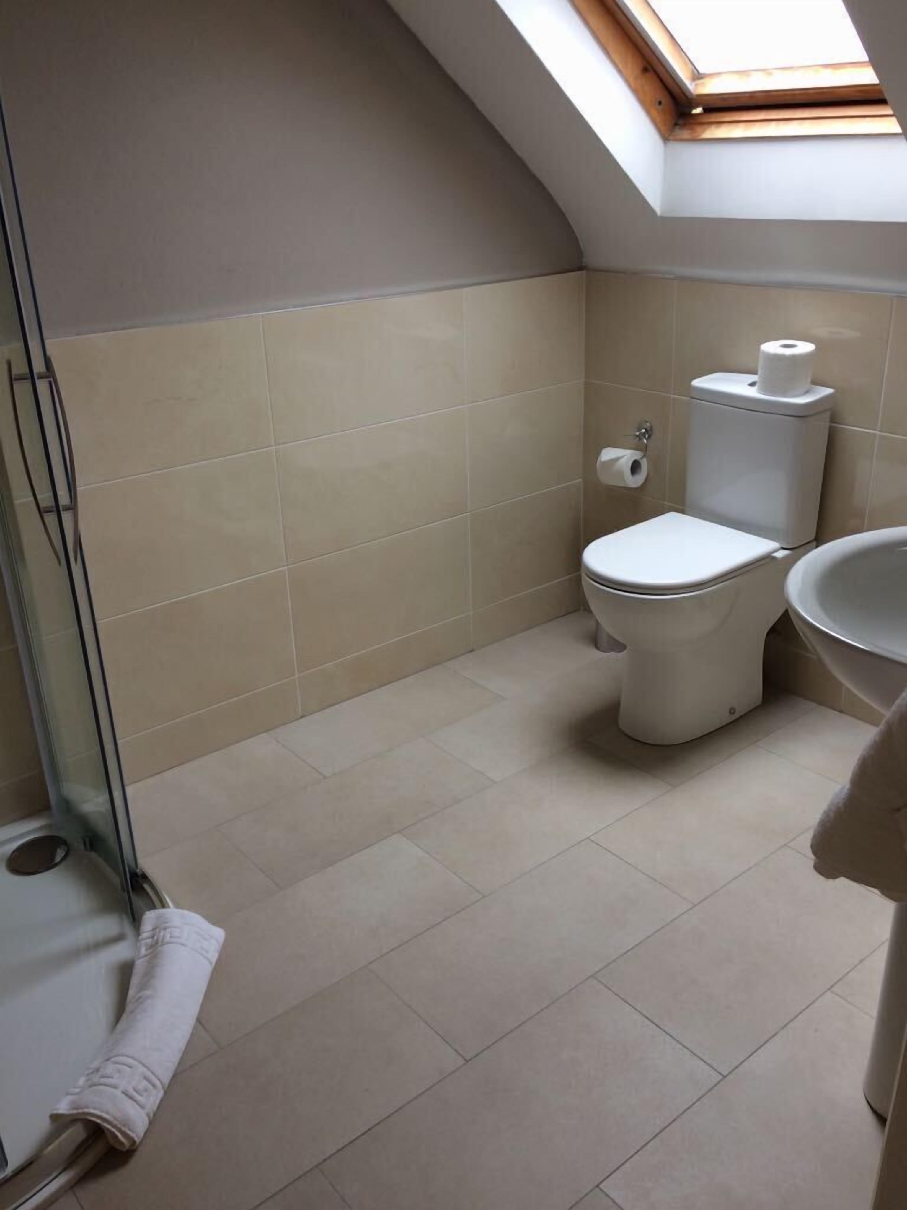 A bathroom with a skylight, a toilet, and a sink.