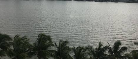 湖景
