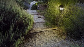 A gravel path leading through a natural landscape with dense vegetation and a lamp post. - Villa Lavanda Todi, countryside casale with private pool in the heart of Umbria (Canonica, PG)