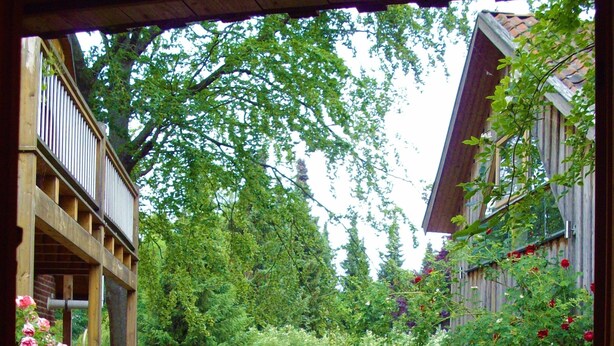 Taman