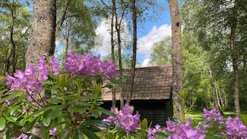 Jardín