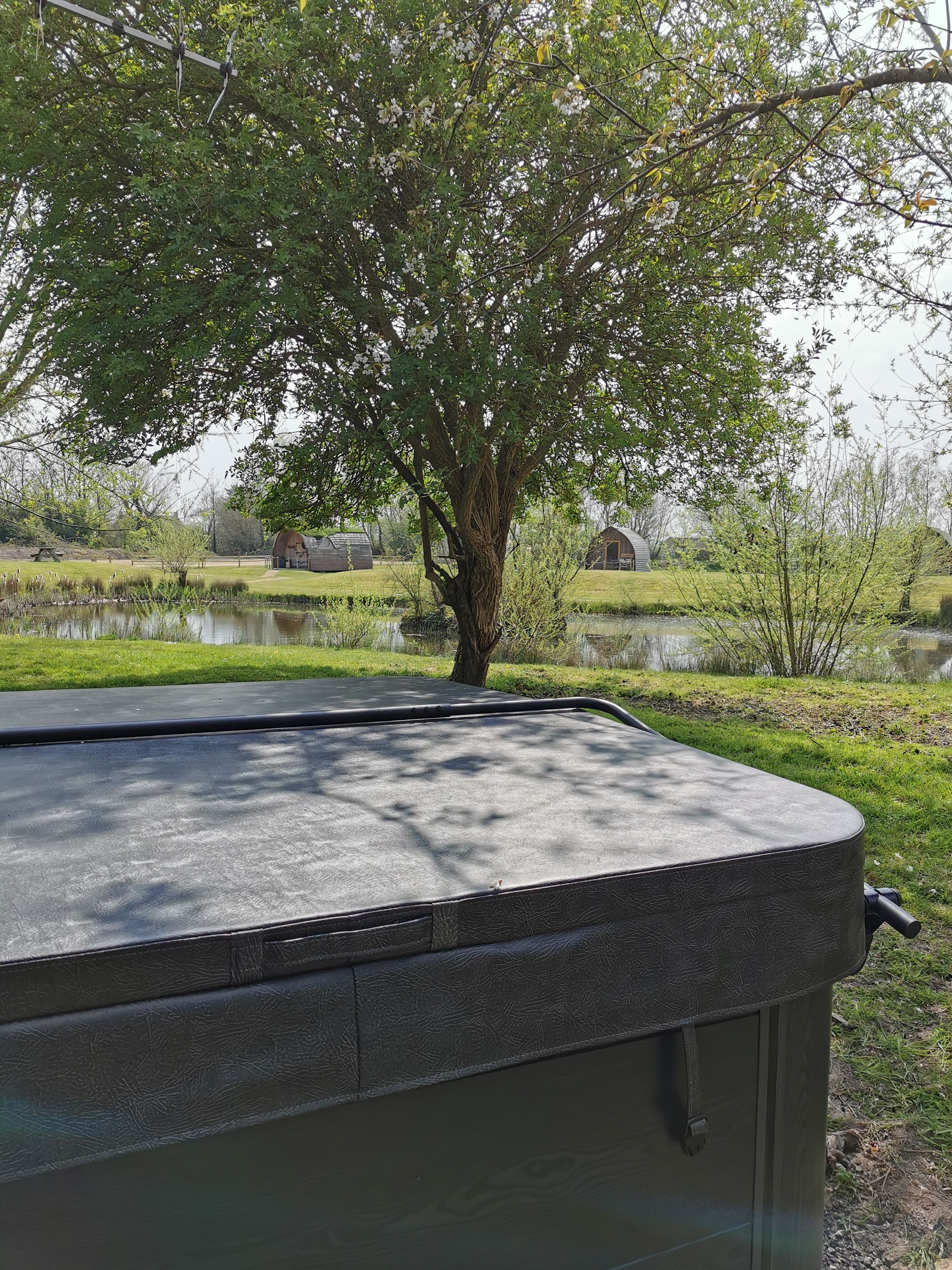 A hot tub with a textured surface, surrounded by a grassy area and a pond.