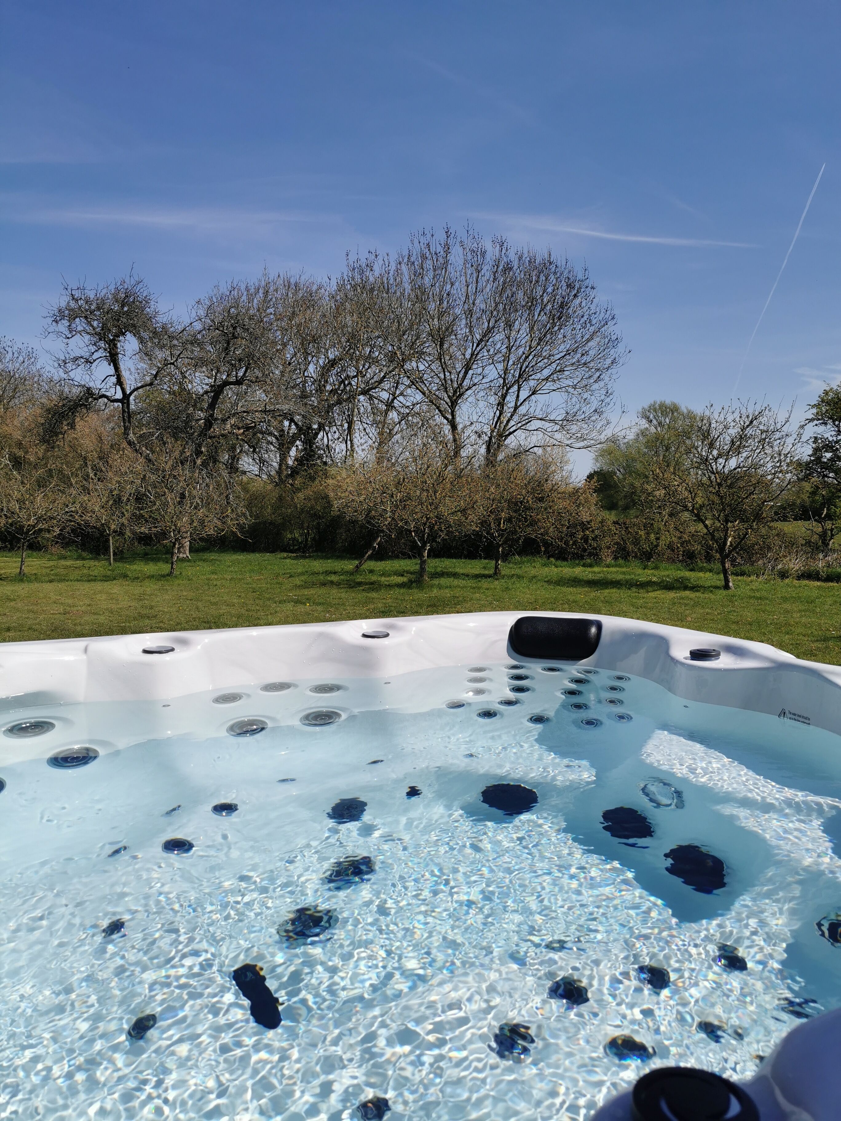 A hot tub with a clear view of the surrounding trees and grass.