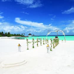 Outdoor wedding area