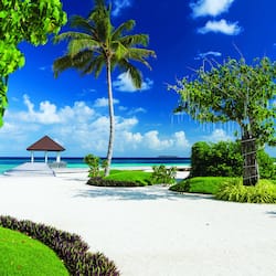 Enjoy a serene beachfront setting with a pathway leading to a gazebo surrounded by lush greenery and palm trees.