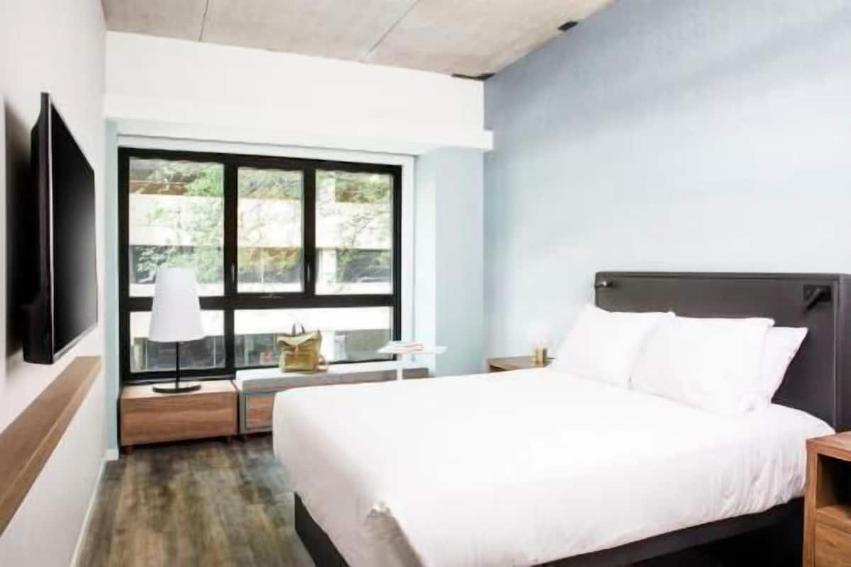 A modern hotel room with a bed, a TV, a window with a view of greenery, and a bedside table.