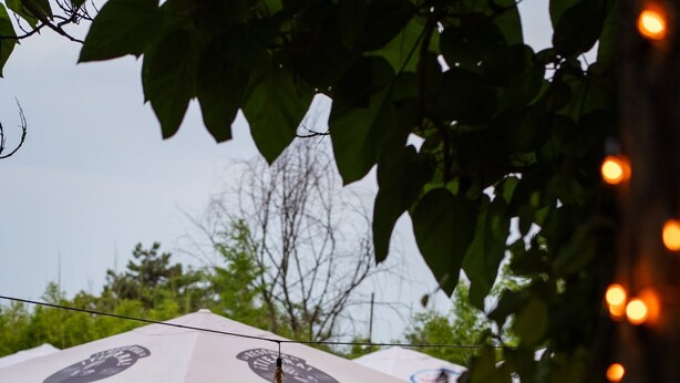 An outdoor dining area with a pool, umbrellas, and string lights. - International House of Journalists (Varna)