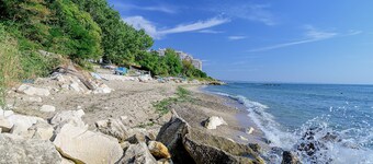 International House of Journalists