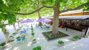 An outdoor seating area with tables and chairs, surrounded by trees and planters. - International House of Journalists (Varna)
