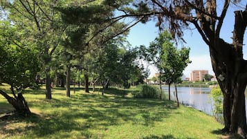 Tent (Campsite. No bed provided. Bring tent)