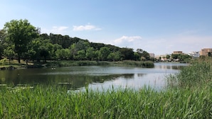 Unclassified image, 5 of 11, button - Camping Lacus (L'Escala)