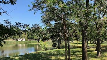 Tent (Campsite. No bed provided. Bring tent)