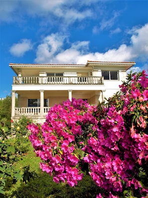 Property entrance - ALBERGUE PALLANES (Tui)
