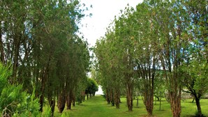Unclassified image, 5 of 11, button - ALBERGUE PALLANES (Tui)