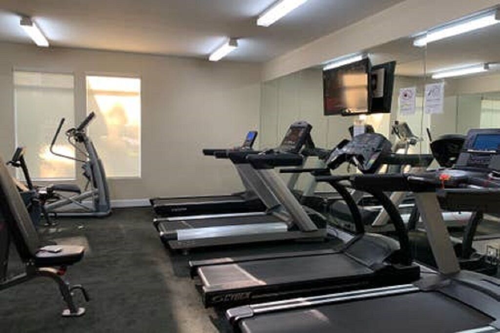 A gym with treadmills, stationary bikes, and weight machines.