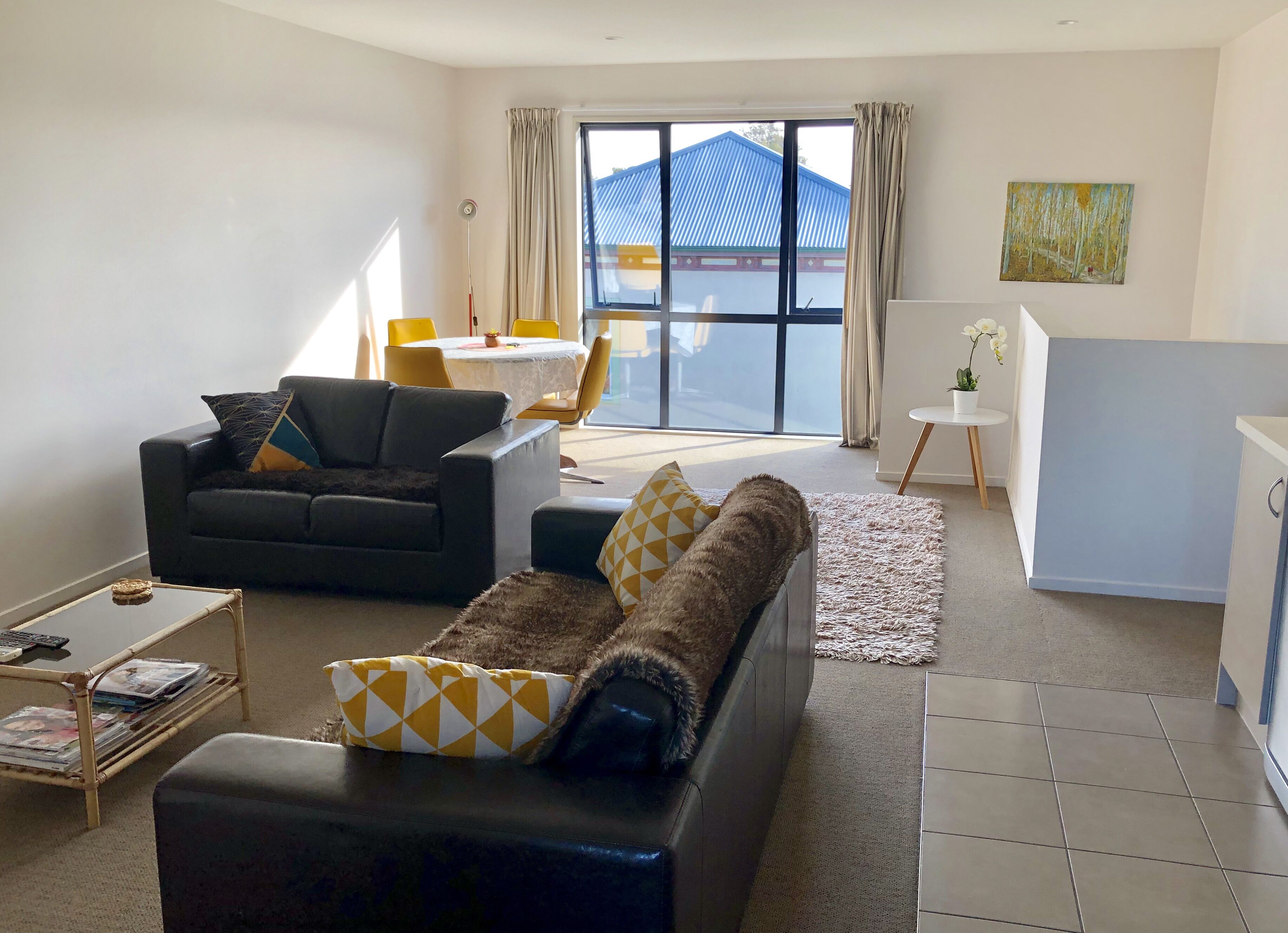 Televisión y libros 