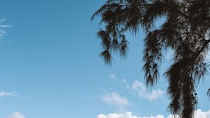 Pantai berhampiran 