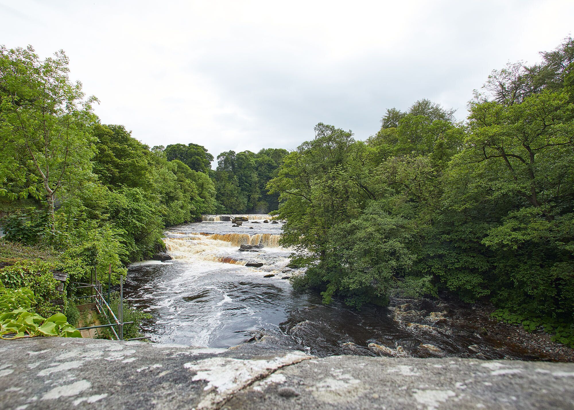 Cottage Cao cấp | Quang cảnh từ phòng