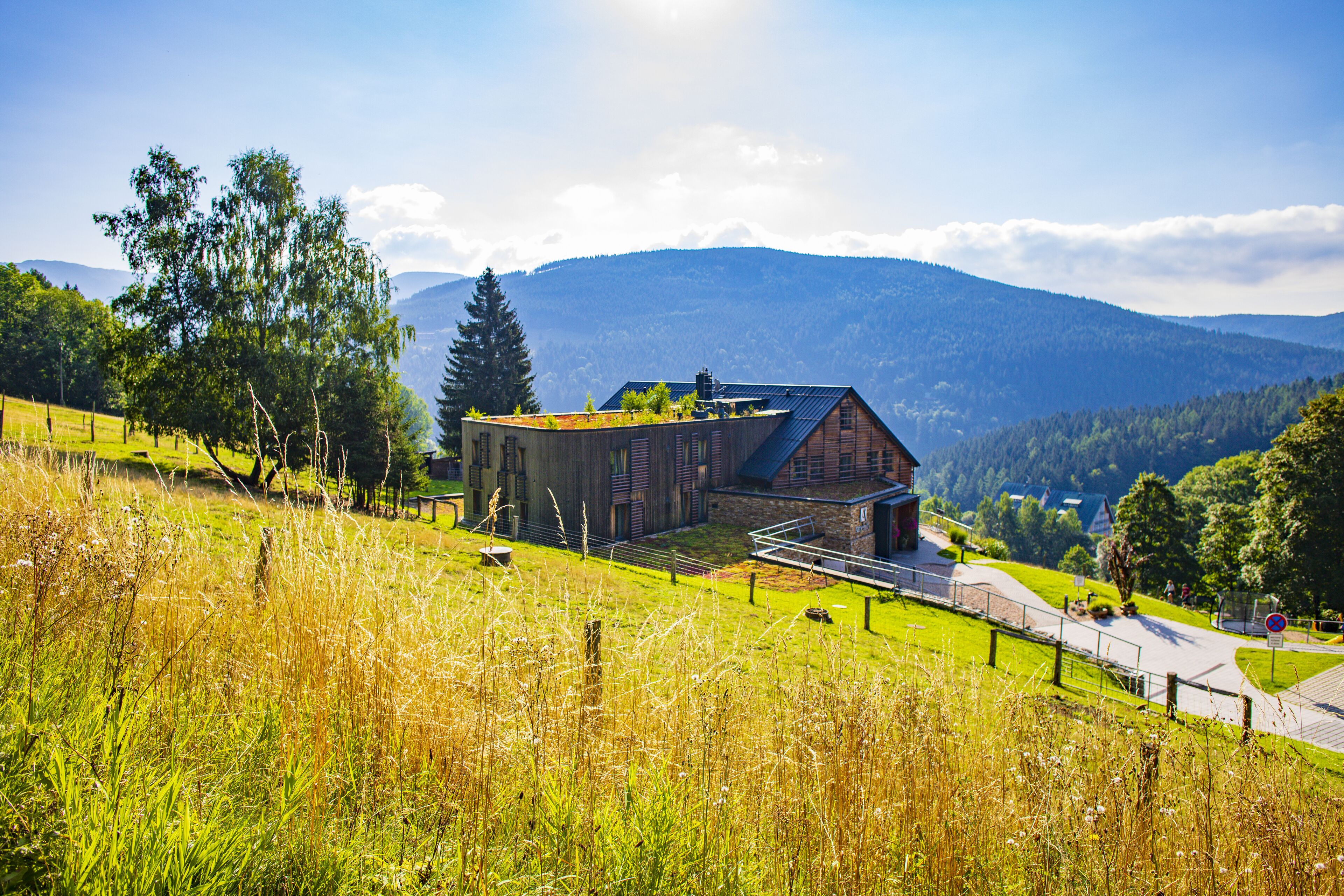 A rustic building with a sloped roof, surrounded by a grassy landscape and a mountain backdrop.