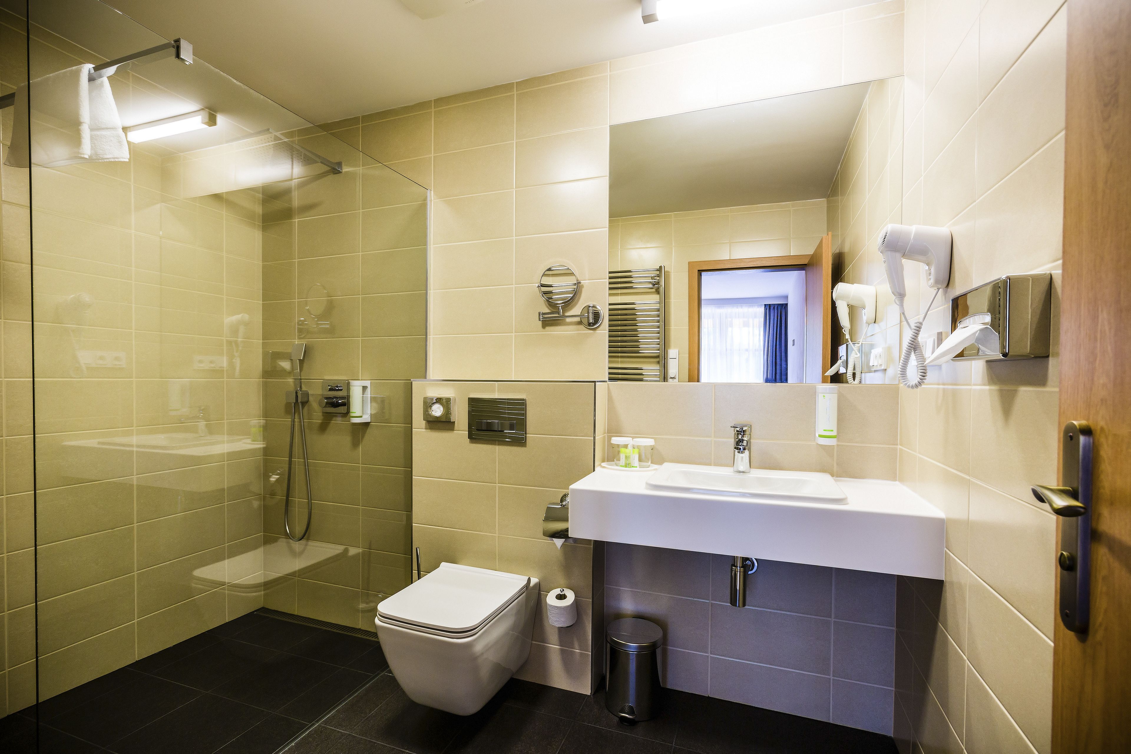 A modern bathroom with a glass shower enclosure, a toilet, a sink, and a mirror.