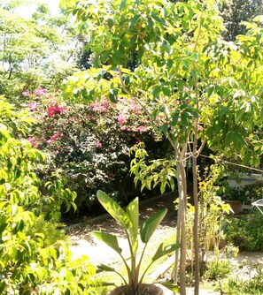 Exterior detail - Foximanna on the North floor in a villa surrounded by greenery facing the sea (Tertenia)