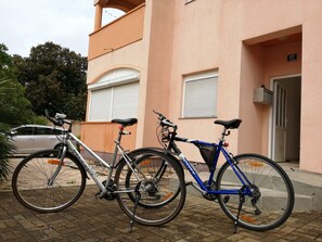 المنطقة المحيطة بالمنشأة