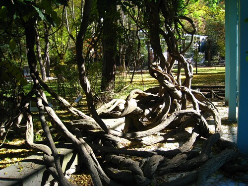 vor rent  appartment