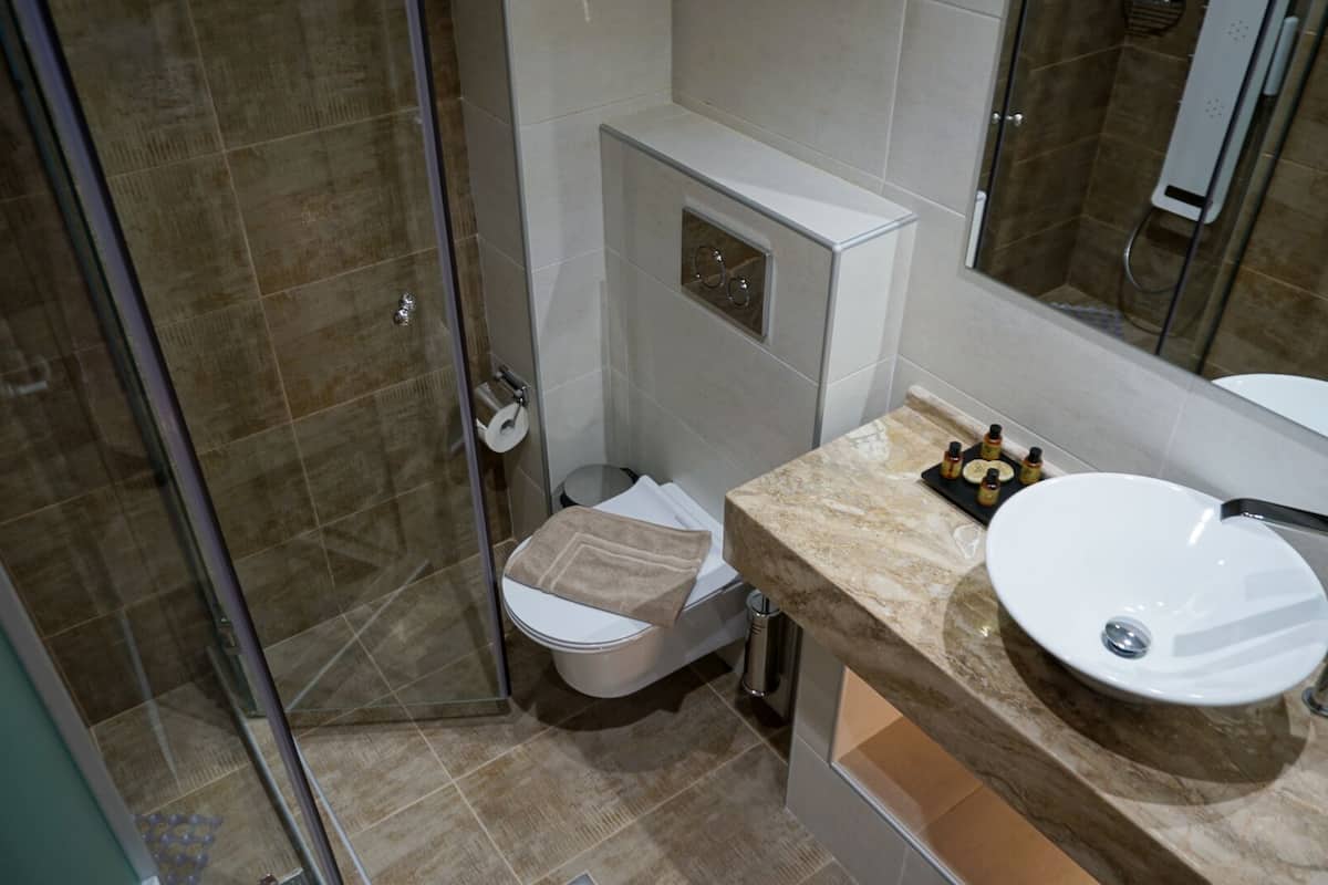 standard triple room | bathroom | shower, free toiletries, hair dryer, bathrobes