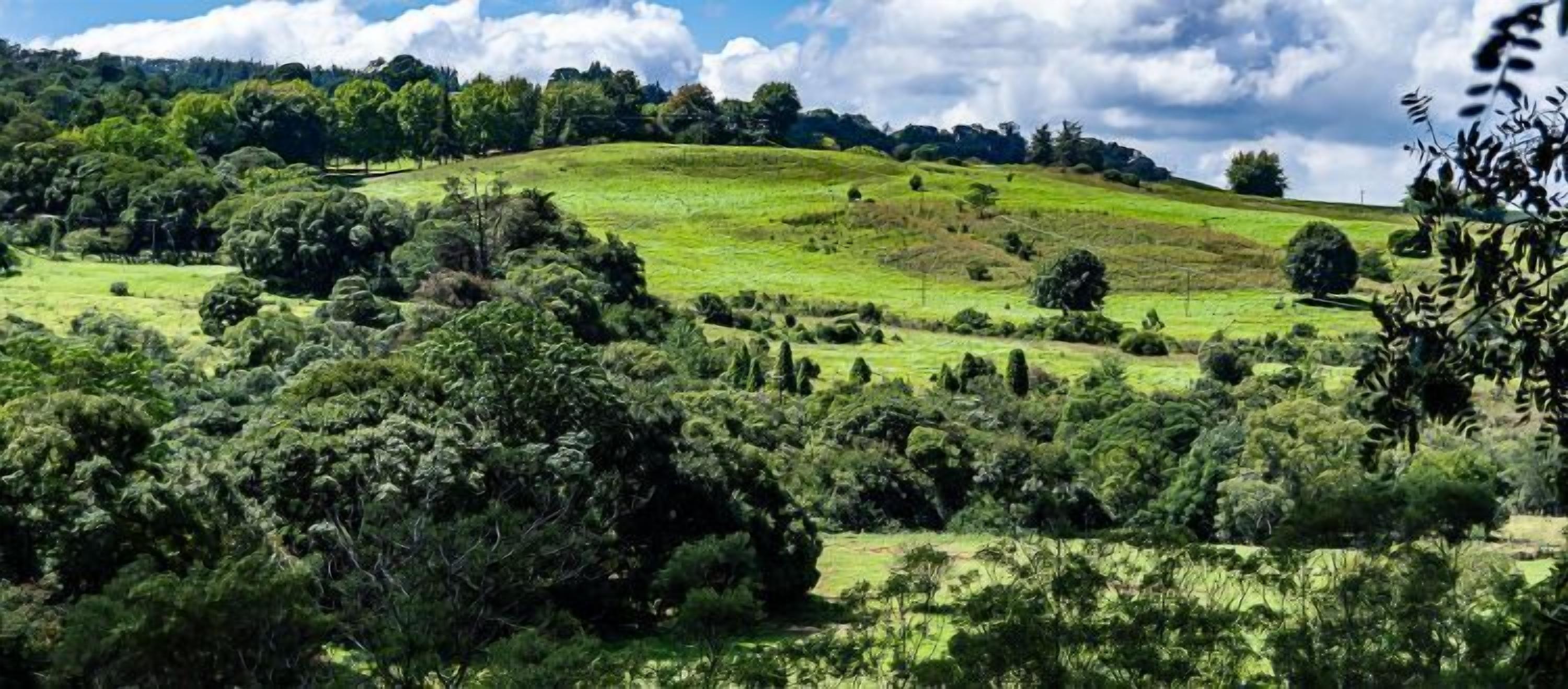 A lush green landscape with rolling hills and dense foliage.