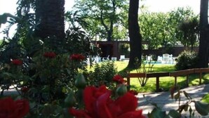 A garden with red flowers and a wooden bench. - EL MIRADOR HOTEL SPA (Colonia del Sacramento)