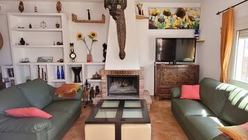 Smart TV, fireplace, books, offices