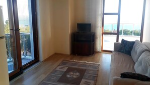 Una sala de estar con un sofá, un televisor sobre un mueble bajo, un tapete estampado y un balcón con vistas.