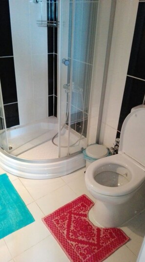 Un baño con ducha de vidrio, inodoro y una alfombra estampada en el suelo.