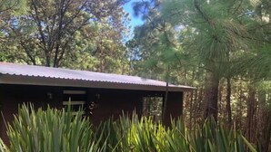 Exterior - Rincón de María Mazamitla (Mazamitla)