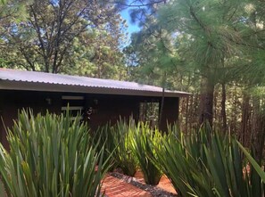 Exterior - Rincón de María Mazamitla (Mazamitla)