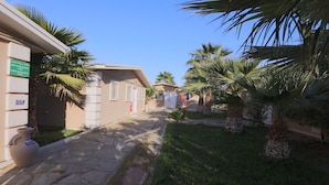 A pathway leading to a building with a stone facade, palm trees, and a clear blue sky. - Euro Japan Residence (Hassi Messaoud)