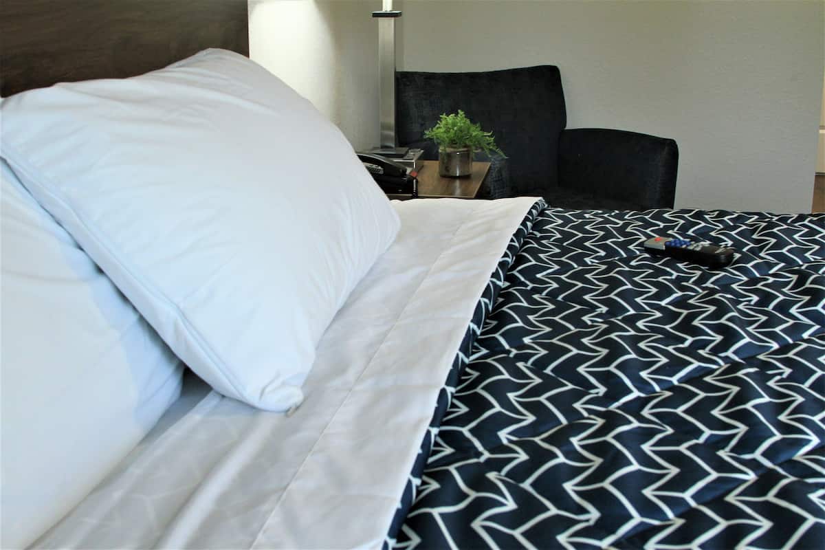 Une chambre d’hôtel avec un lit, une chaise, une table de chevet avec une lampe et une télécommande.