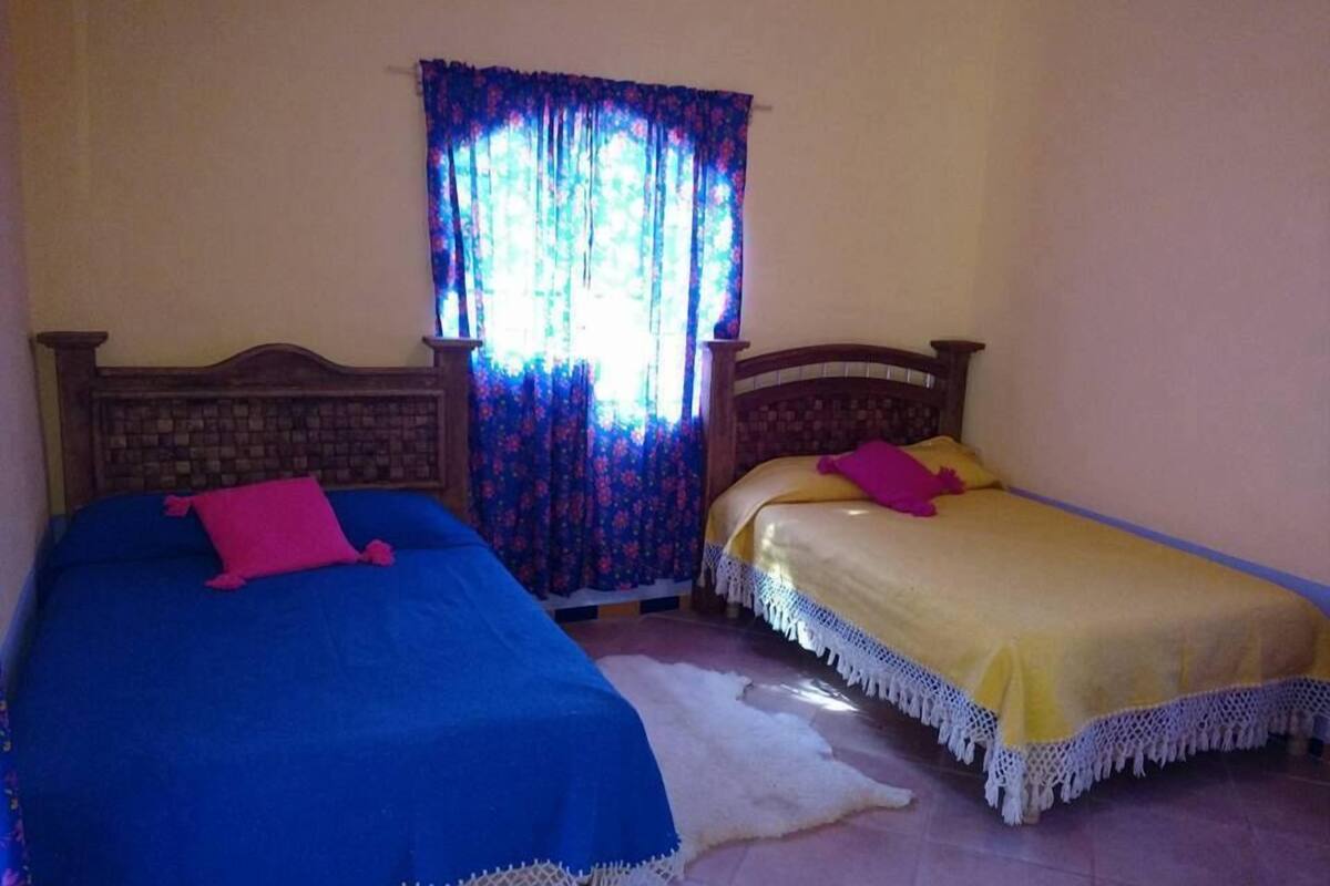 Rideaux occultants, draps fournis