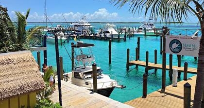 Casa Palmera - Bimini's finest vacation spot