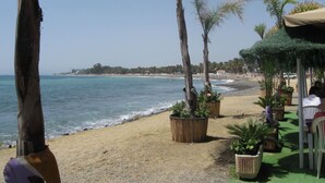 Blick auf einen Strand mit sandigem Ufer, Palmen und blauem Himmel.
