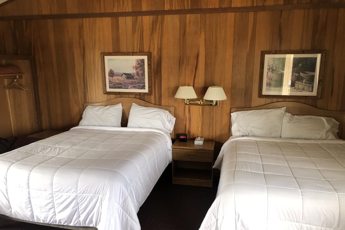 A double room with two beds, wooden paneling, two wall-mounted lamps, and two framed pictures.