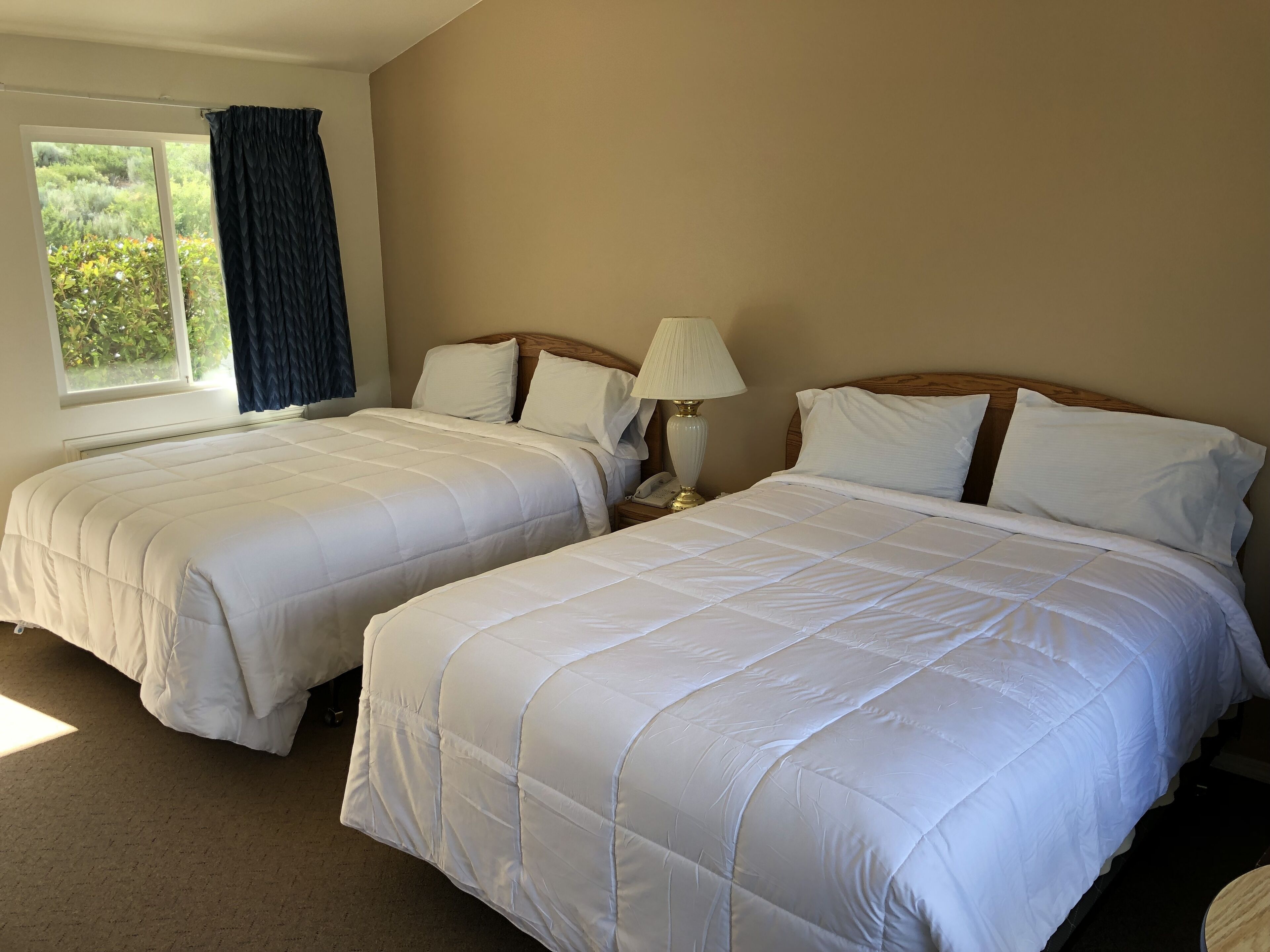 Une chambre d’hôtel avec deux lits «queen size», une lampe de chevet et une vue sur la verdure par la fenêtre.