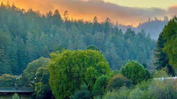 A forested landscape with a bridge and a building.